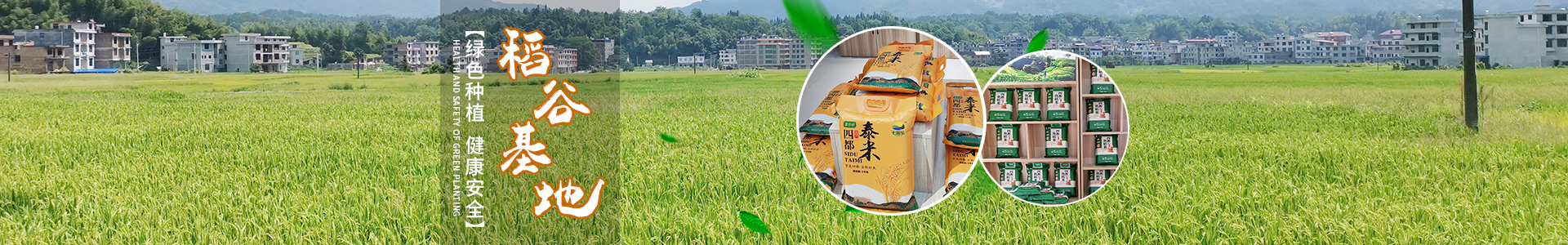 湖南泓天現代農業發展有限公司